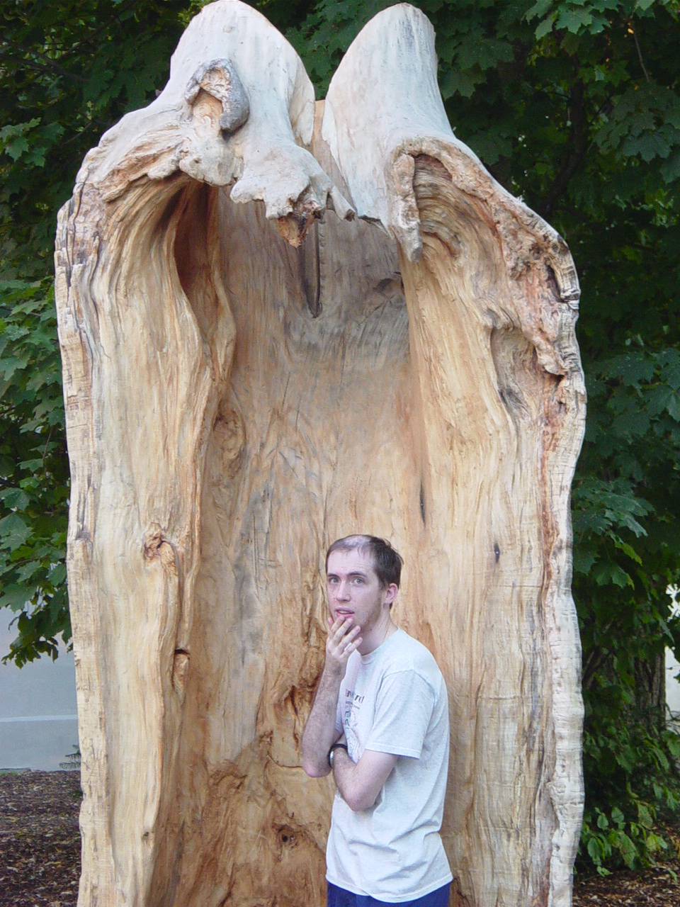 10 stump b.JPG